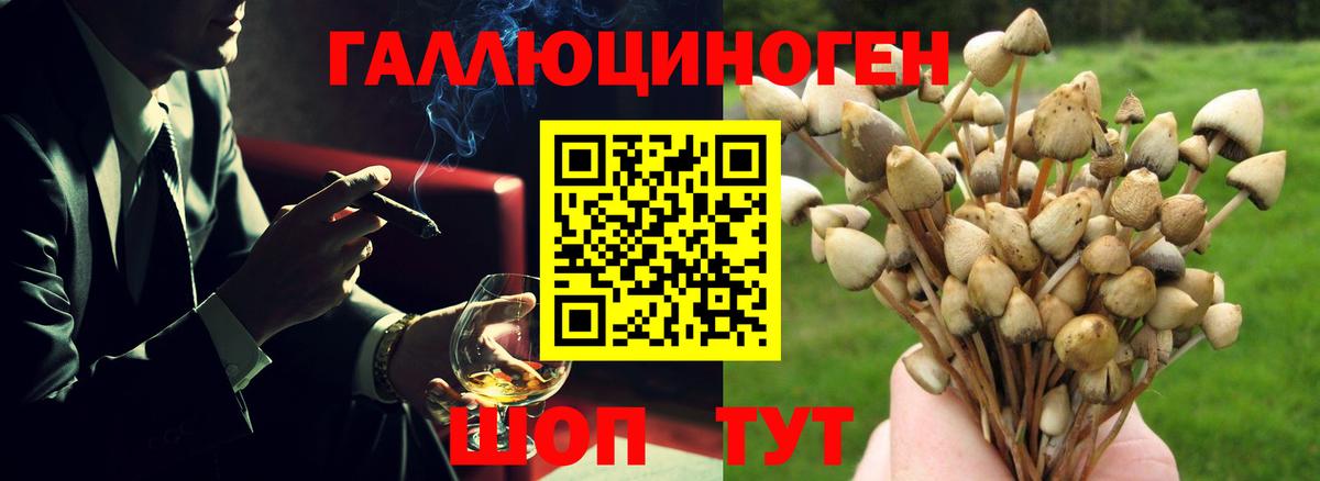 Галлюциногенные грибы мицелий Сегежа